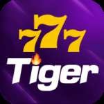 777tiger Champion Brasil