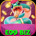 e99 biz Premium v5.3.1